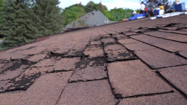 Best Rubber Roofing (EPDM, TPO)  in Harrison, MI