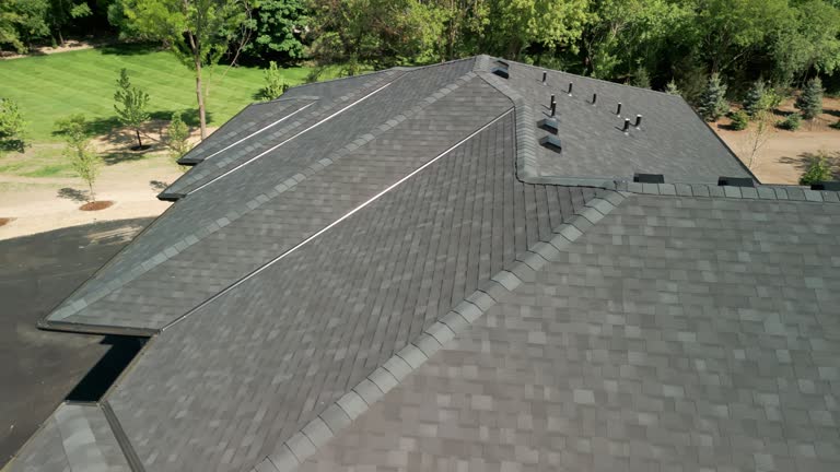 Best Roof Leak Repair  in Harrison, MI