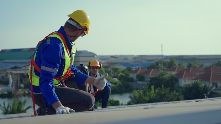 Best Sheet Metal Roofing  in Harrison, MI