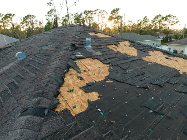 Best Metal Roofing Installation  in Harrison, MI