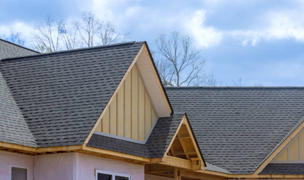 Best Roof Ventilation Installation  in Harrison, MI